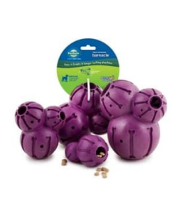 Pet Safe Busy Buddy Barnacle- Medium