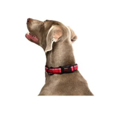 COA HC024 HALTI Collar Red Medium