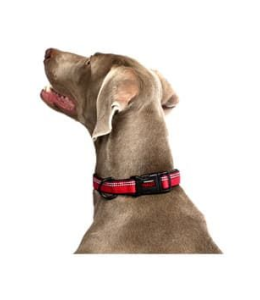 COA HC024 HALTI Collar Red Medium