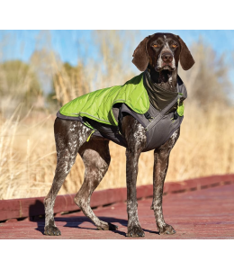 Pet Stages Telluride 2-In-1 Coat Green XS