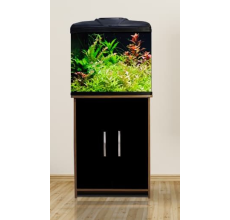 Aqua One AquaVue 580 Black 58x32x74cm Black Gloss Reversible Door (walnut) AQUARIUM ONLY