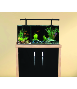 Aqua One Betta Trio Aquarium 32L 55x25x25cm AQUARIUM ONLY