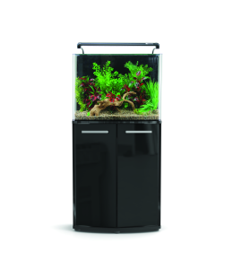 Aqua One AquaNano 60 Bow Front Aquarium L38 xW 60 xH 78 cm AQUARIUM ONLY