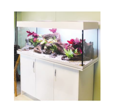 Aqua One AquaVogue 245 Aquarium Set 245L 120wx45dx55cm White ONLY AQUARIUM - CABINET SOLD SEPARATELY