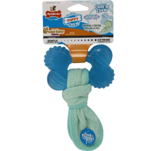 Nylabone Puppy Chew Freezer Bone Regular