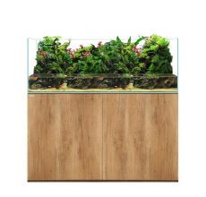 Waterbox TERRA 4820 L120cms X W50Cms X H50Cms Color Oak