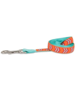 Petmate Rubber Dog Leash 3/4"X6' Orange Chevron