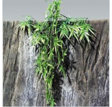 Jbl Terraplanta Madagascan Bamboo - S