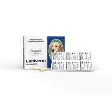 CANIVERM FORTE TABLETS 1 Tab for 10 Kgs