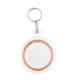 PetSafe Passport Key