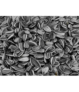 VADIGRAN Sunflower seed small striped 2,5 kg