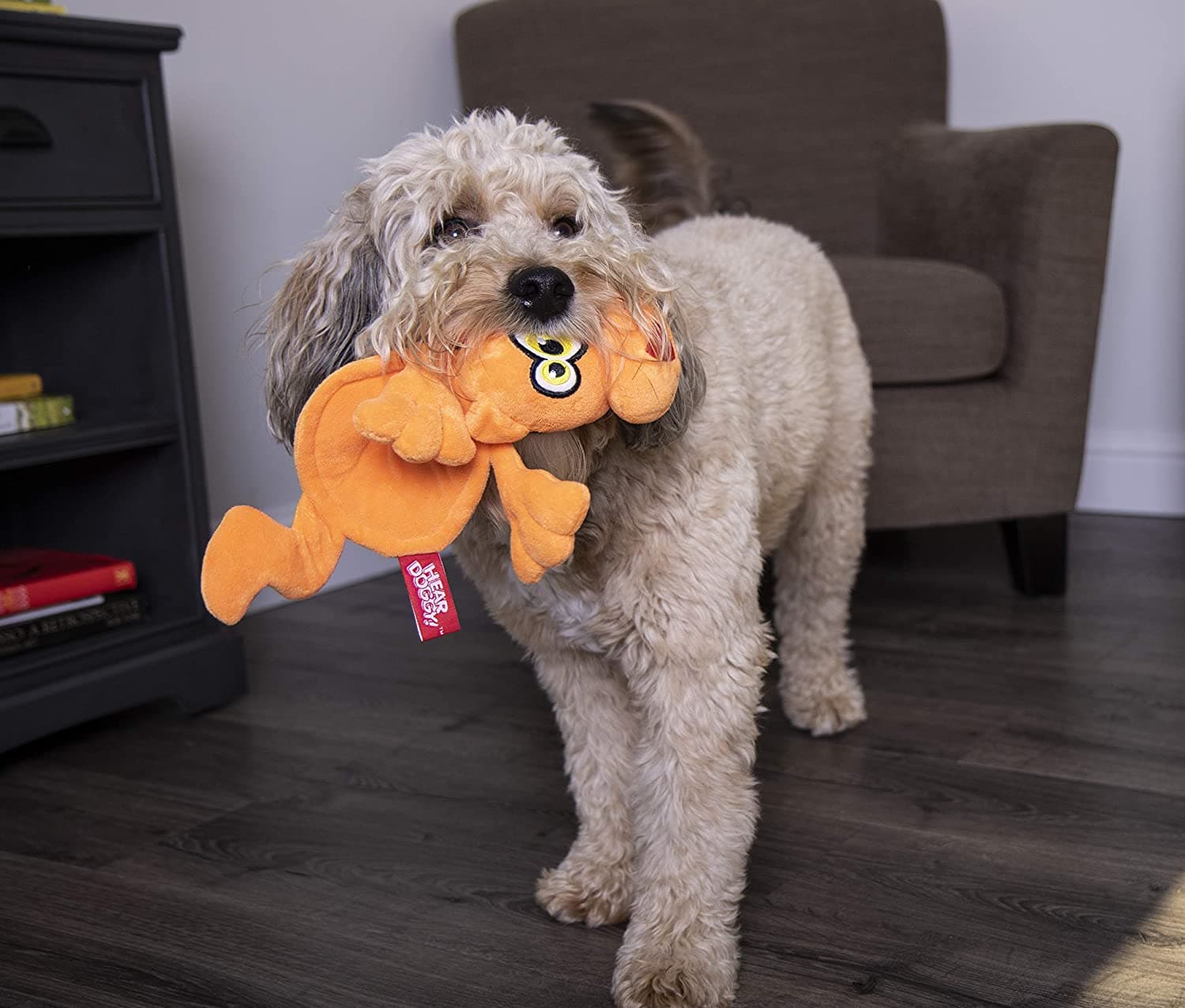 HEAR DOGGY!® Flattie Cat Orange with Chew Guard Technology™ and Silent Squeak Technology™ Plush Dog Toy