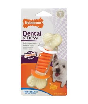 Nylabone Dental Pro Action Chew - Bacon (Small)