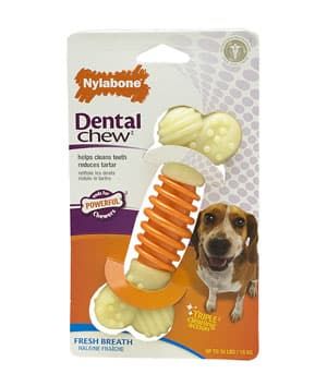 Nylabone Dental Pro Action Chew - Bacon (Medium)