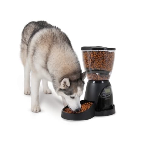 Petmate Aspen Pet Automatic Lebistro Feeder 18 Cup / 5Lb Black