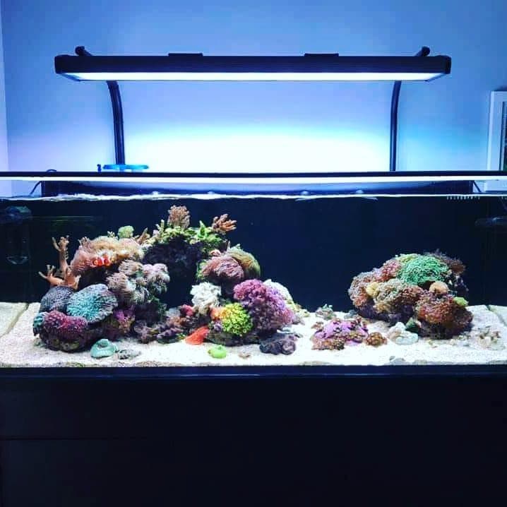 Illumagic X Series-90 Cm Marine