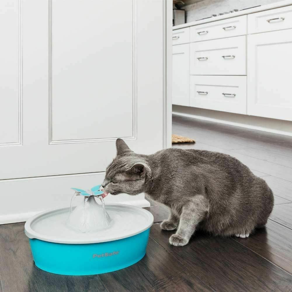 Petsafe Drinkwell Butterfly Pet Drinking Fountain